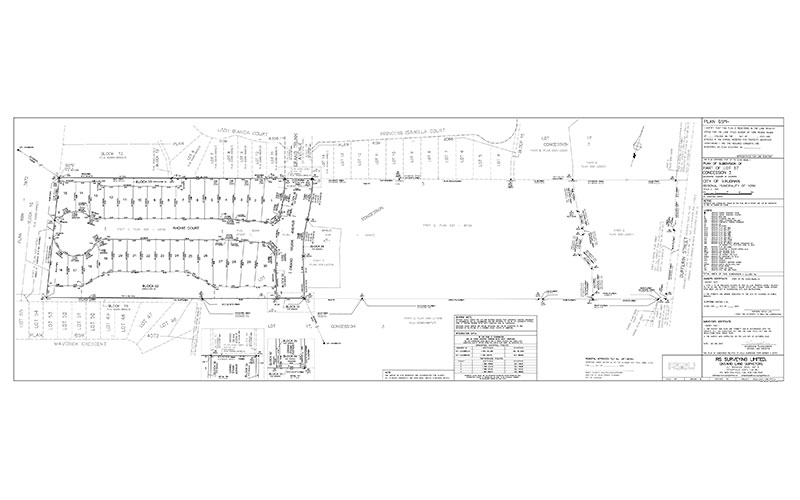 Cadastral Surveys